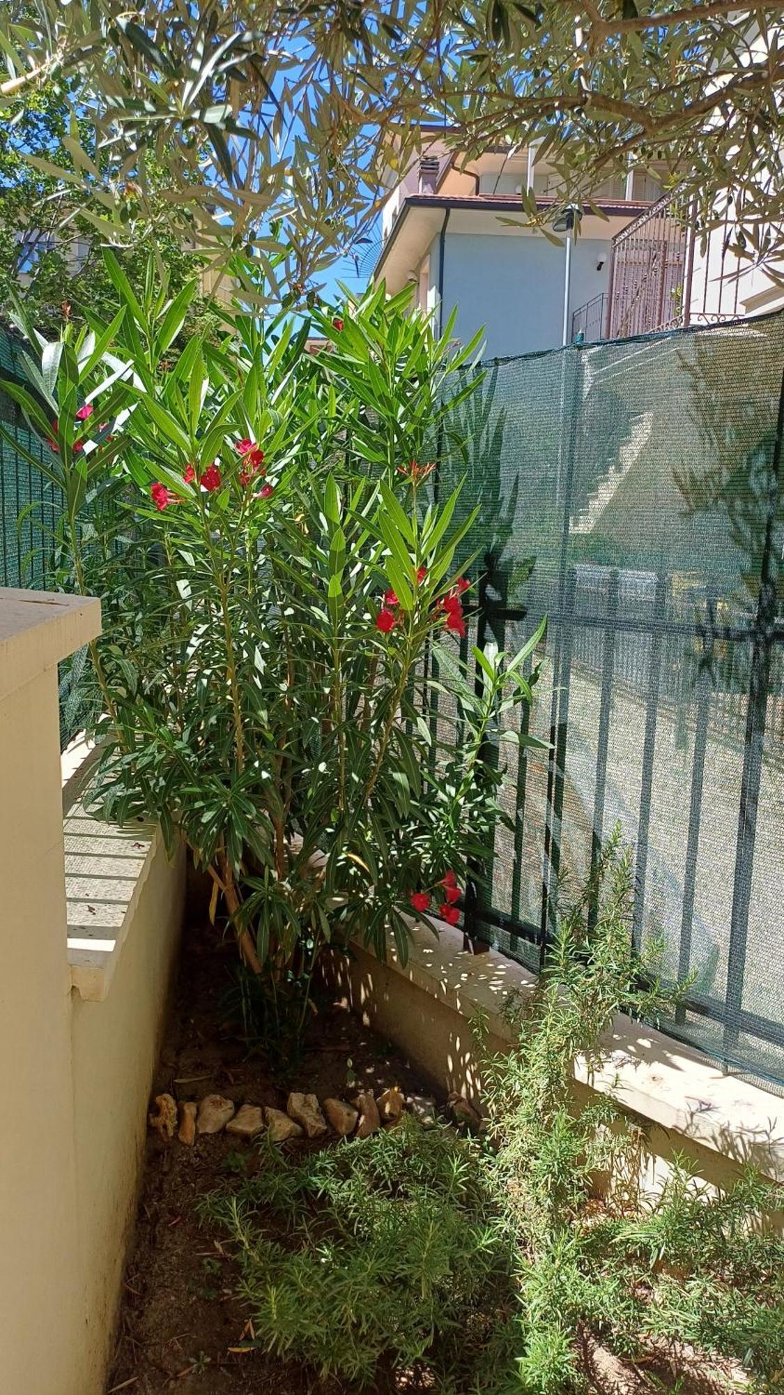 Residence Ducale Римини Екстериор снимка